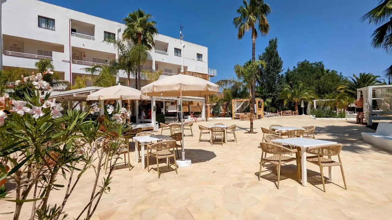 The Palm Star Ibiza - Adults Only Appartement San Antonio  San Antonio (Ibiza)